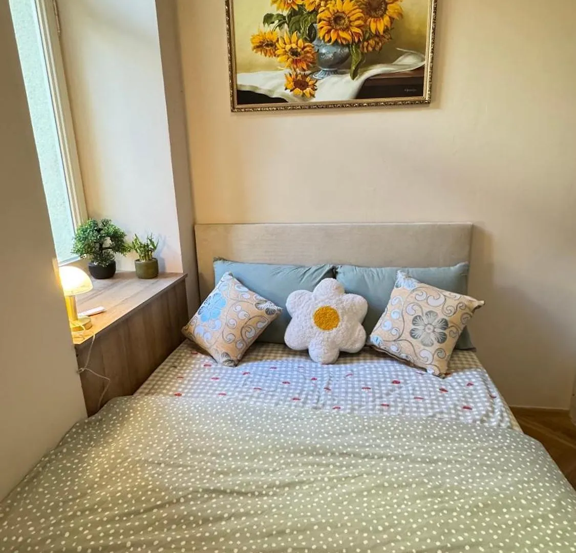 Newly Renovated Apartment In Wenceslas Square Praha 0*,  Česká republika